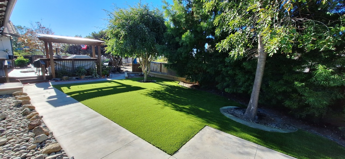 Backyard turf with pergola in North County San Diego