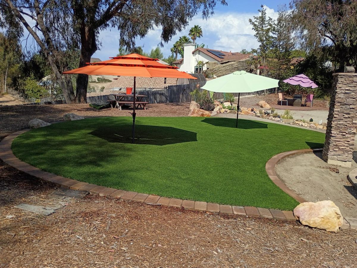 Oval backyard turf lawn with paver border and shade umbrellas in North County San Diego