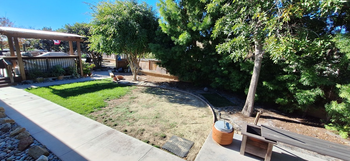 Backyard landscape design with turf, pergola, and trees